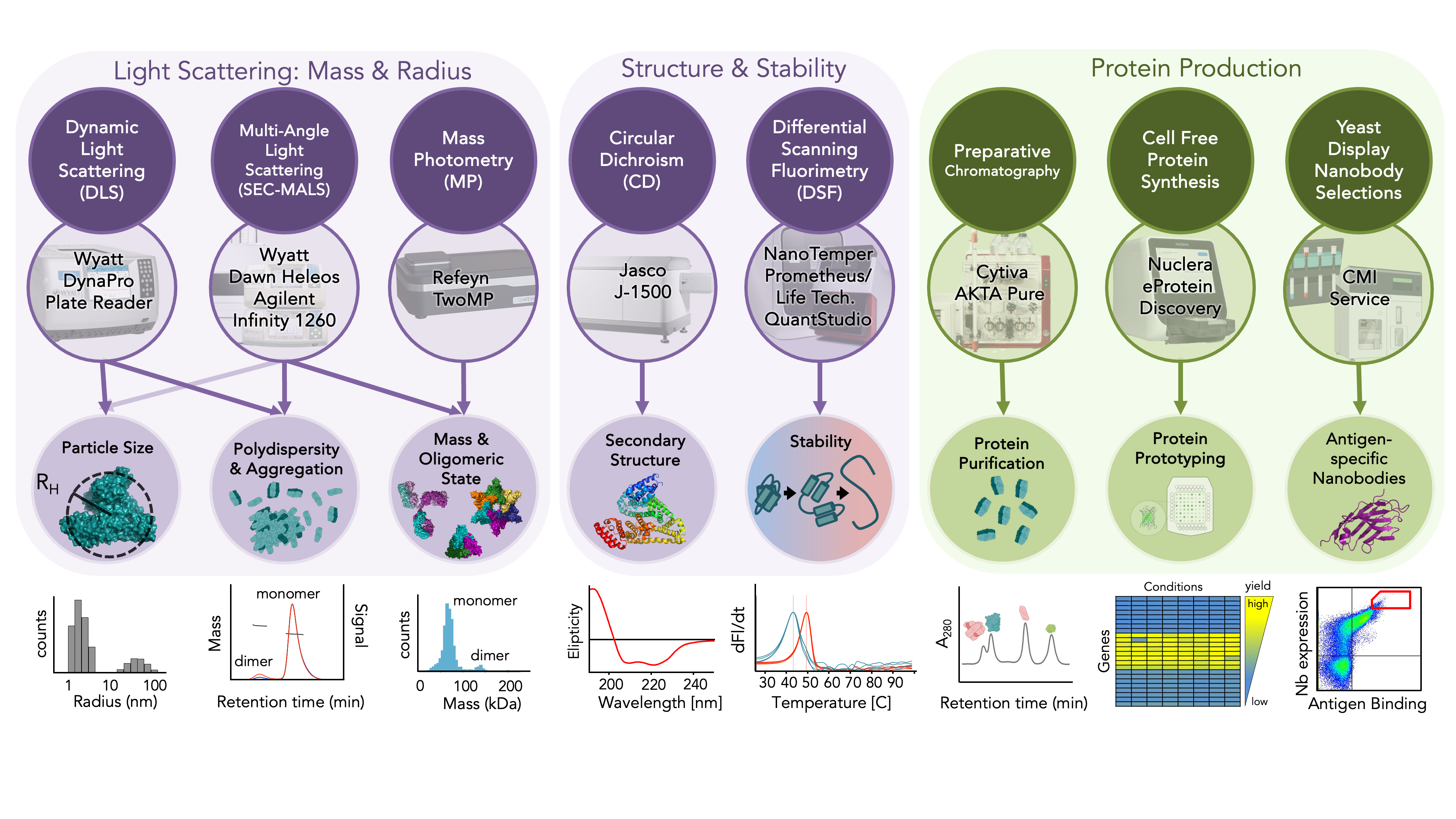 Services for measuring protein quality and production