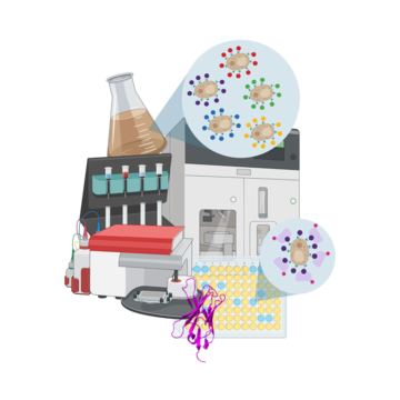 Yeast Display Nanobody Selections